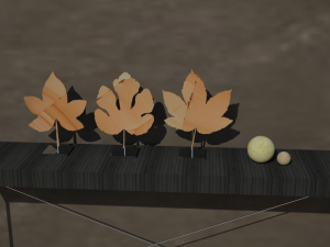LEAVES TEAK WOOD